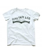 Yoga T-Shirt "Levitate" White, for Men